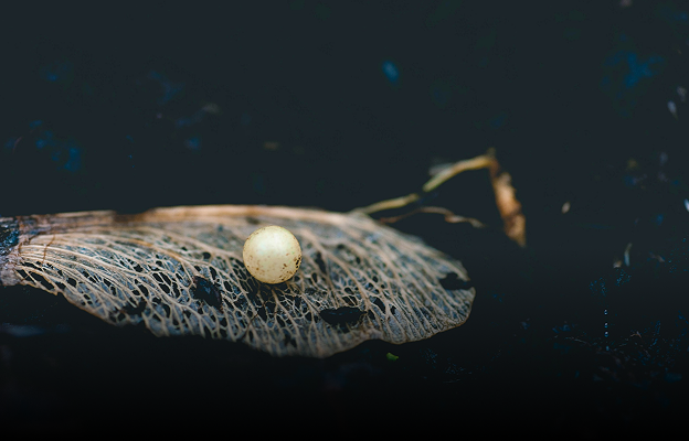 hover-slike-labelage-solutions