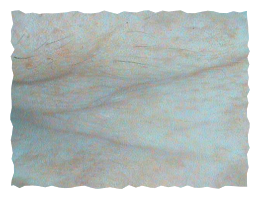 pre-slika-labelage-solutions