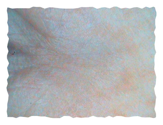 pre-slika-labelage-solutions